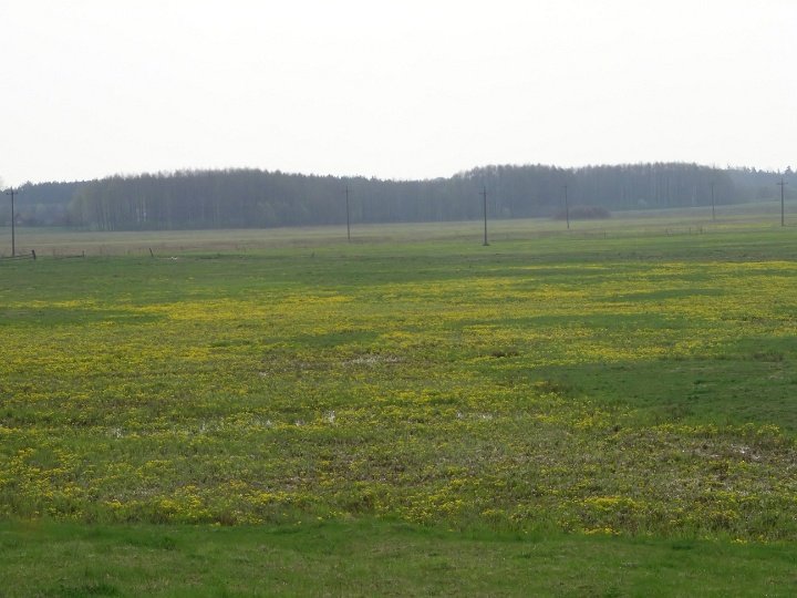 IMGP3240 