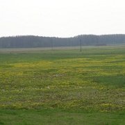 IMGP3240   Łąki nad rzeką.