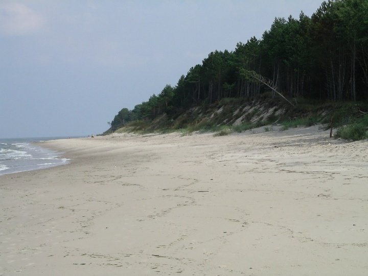 IMGP3680 