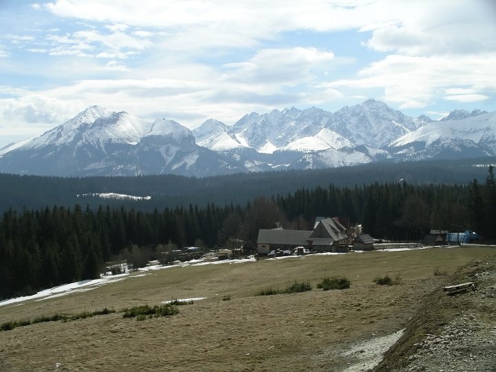 IMGP7119 