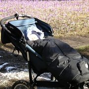 IMGP7017   Przejażdżki Sciżką pod Reglami w czasie, gdy Zosia szusowała na Kasprowym z panem Tomkiem dostarczały tacie-saracie przeżyć estetycznych, których jednak Antoś nie rozumiał.