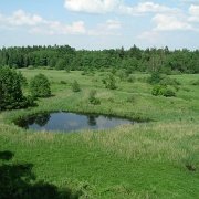 IMGP7358   Widok na Kosy Most. Na łąki miały wychodzić żubry. Niestety, żeśmy się minelli...