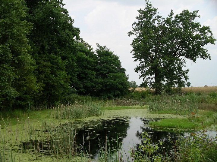 IMGP7528 