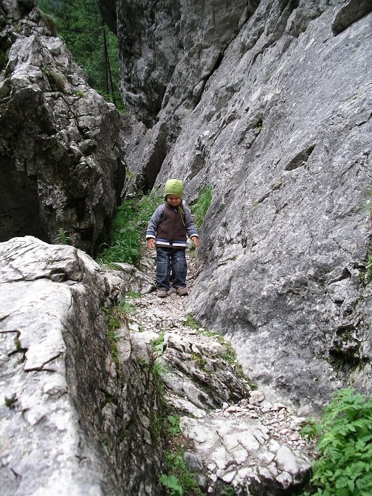 IMGP7656 