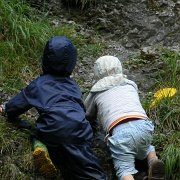 P1060888  Harcom nie było końca. Czasami mamusie nie nadążały za pociechami.