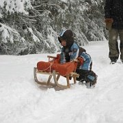 IMG 1127  Aż przyszedł jeden dzień straszny i jedna noc okropna i dużo śniegi napadało. Humor od razu się poprawił.