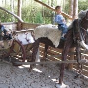 IMG 1292  Antoś za to wspiął się na wyższy poziom i już potrafi powozić saniami.