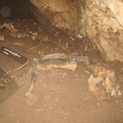 IMG 2328   Podobny okaz jeszcze na stanowisku paleontologicznym.