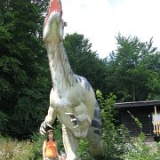 IMG 2371   Nawet ogromny i głodny drapieżnik nie był w stanie Antosia wyprowadzić z równowagi.