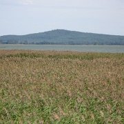 IMG 2428   Jezioro Gardno i najwyższe w okolicy wzniesienie 114 m.