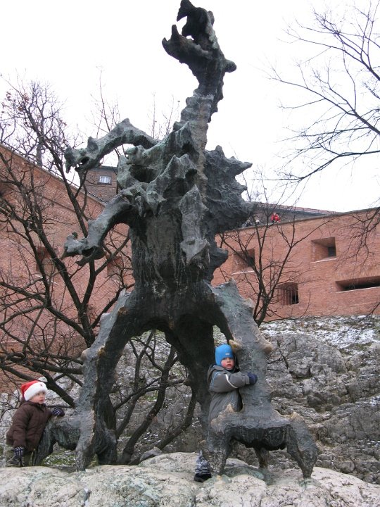 IMG 3061