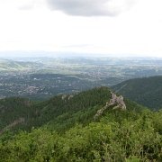 IMG 6394