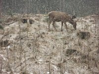 IMG 3248  I... przestało świecić