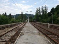 IMG 20210723 175328 --> Perony