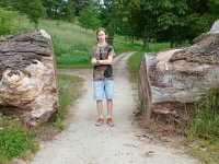 20240615 135008 --> Park i jedno z kilksetletnich drzew.